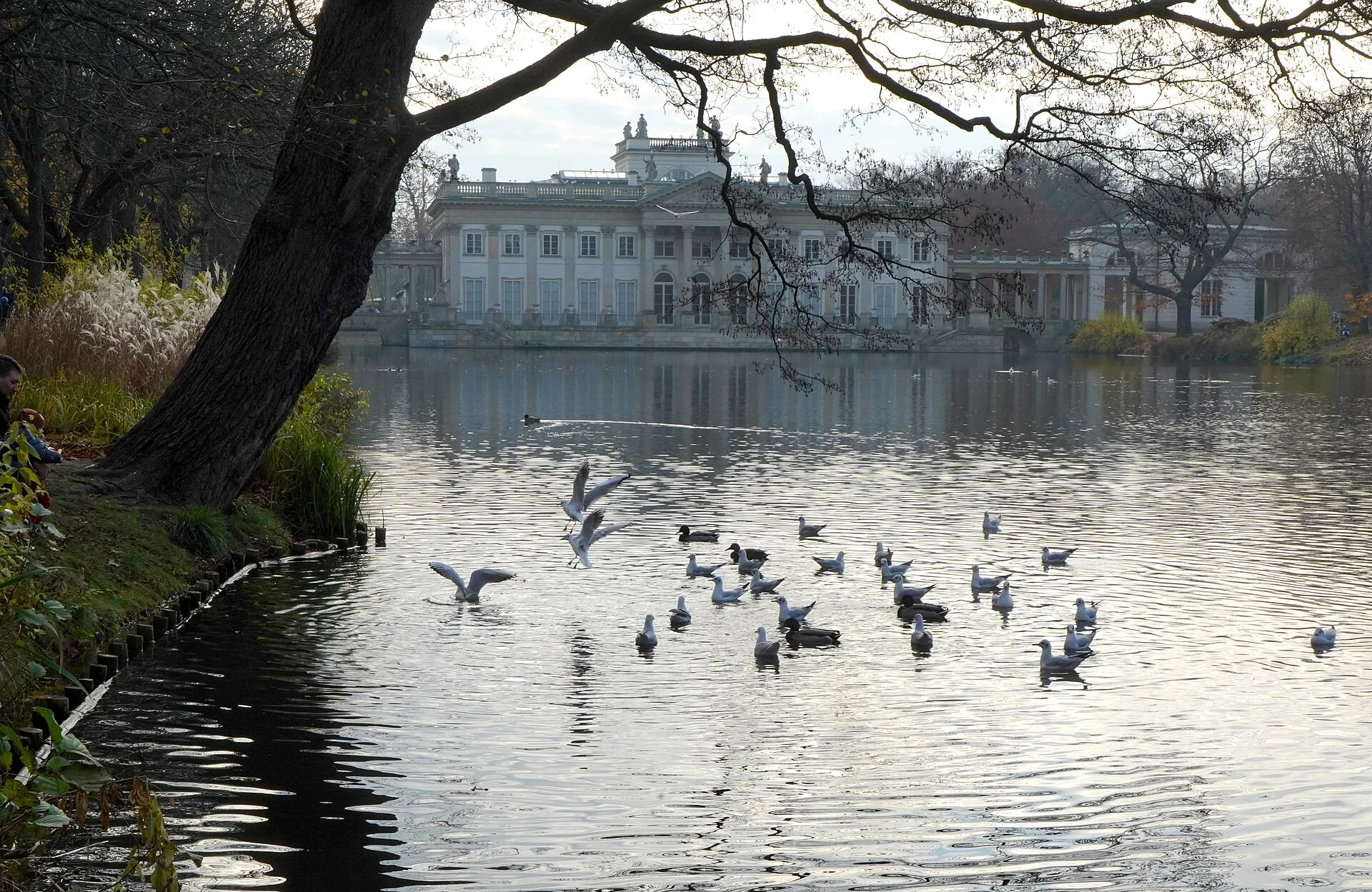 Jour 2 après-midi : le parc Łazienki